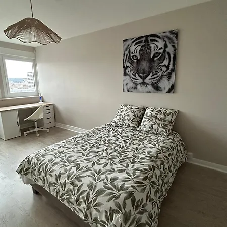 Confort A Apartment Nancy